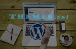 Cara Upload Theme WordPress Melalui File Manager cPanel