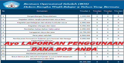 CARA LAPOR PENGGUNAAN DANA BOS SECARA ONLINE