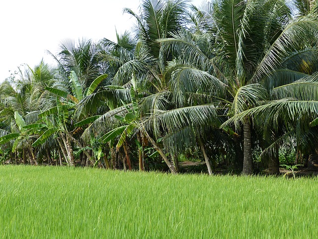 Sisi Lain Seorang Petani yang Menginspirasi