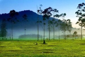 KAMPUNG CAI RANCA UPAS CIWIDEY