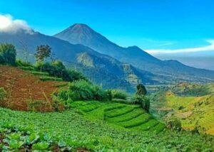 Wisata alam Indonesia terindah dan tersejuk